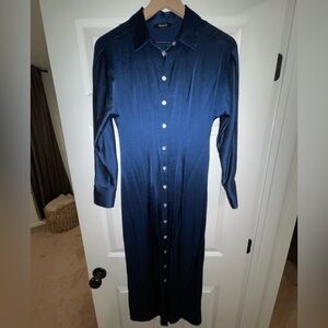 Madewell Silk Navy Blue Button-Down Dress